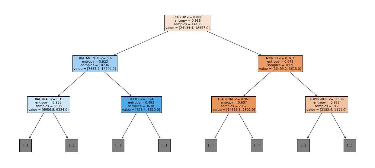_images/Label_-_vivo_ano1_111_0.png