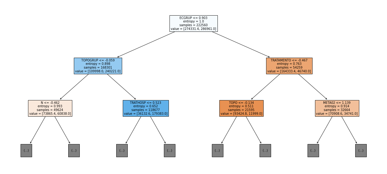 _images/Label_-_vivo_ano1_152_0.png