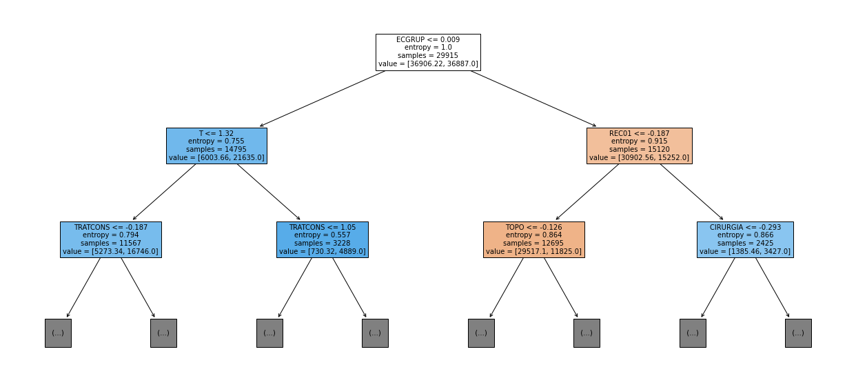 _images/Label_-_vivo_ano1_211_0.png