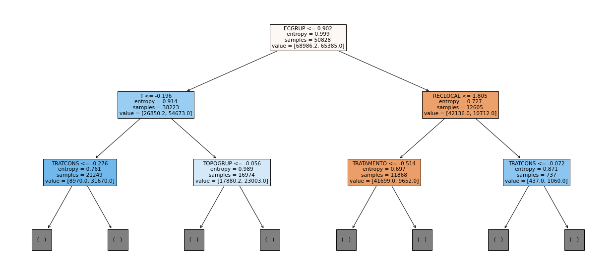 _images/Label_-_vivo_ano1_229_0.png