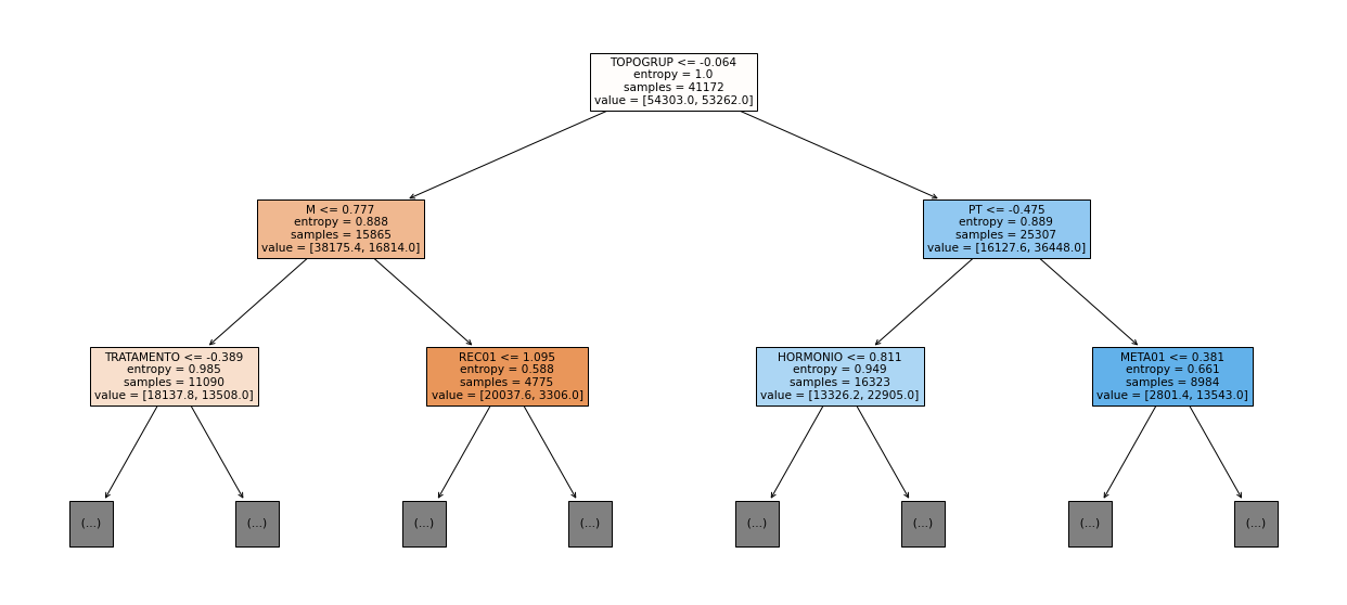 _images/Label_-_vivo_ano1_247_0.png