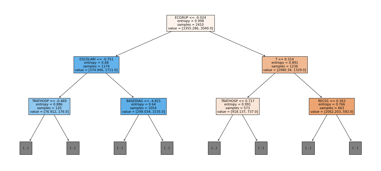 _images/Label_-_vivo_ano1_266_0.png