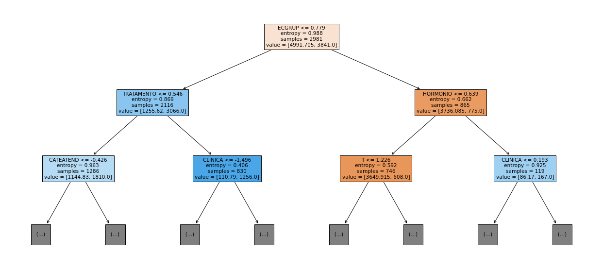 _images/Label_-_vivo_ano1_275_0.png