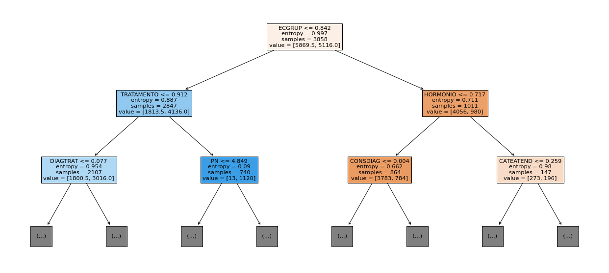 _images/Label_-_vivo_ano1_284_0.png