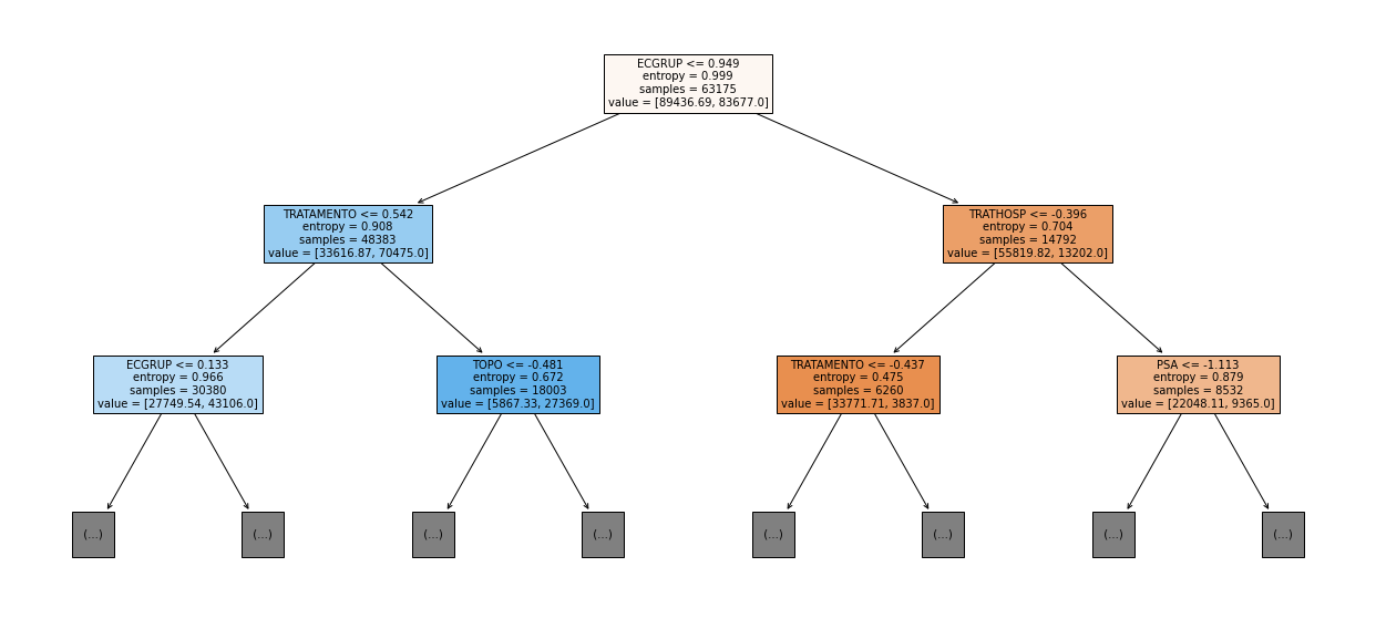 _images/Label_-_vivo_ano1_494_0.png