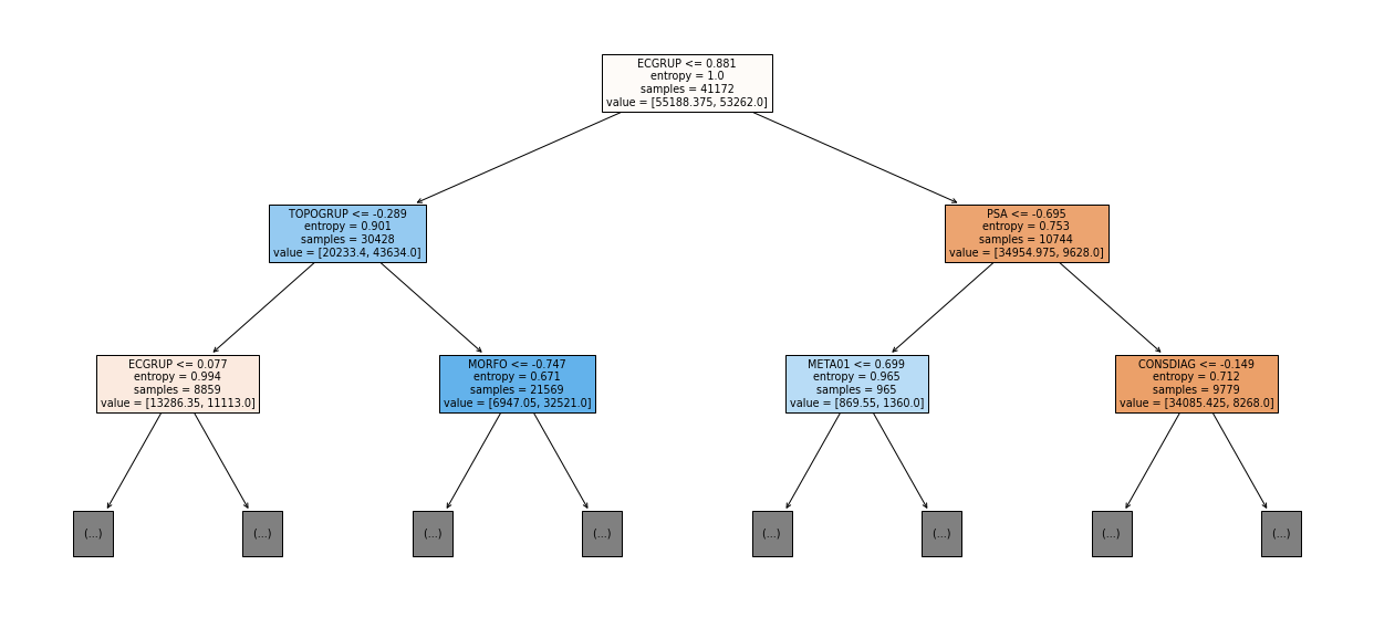 _images/Label_-_vivo_ano1_503_0.png