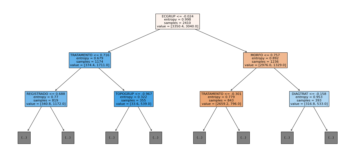 _images/Label_-_vivo_ano1_522_0.png