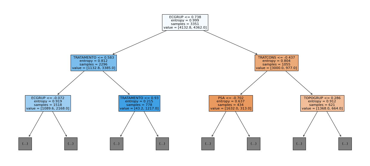 _images/Label_-_vivo_ano1_549_0.png