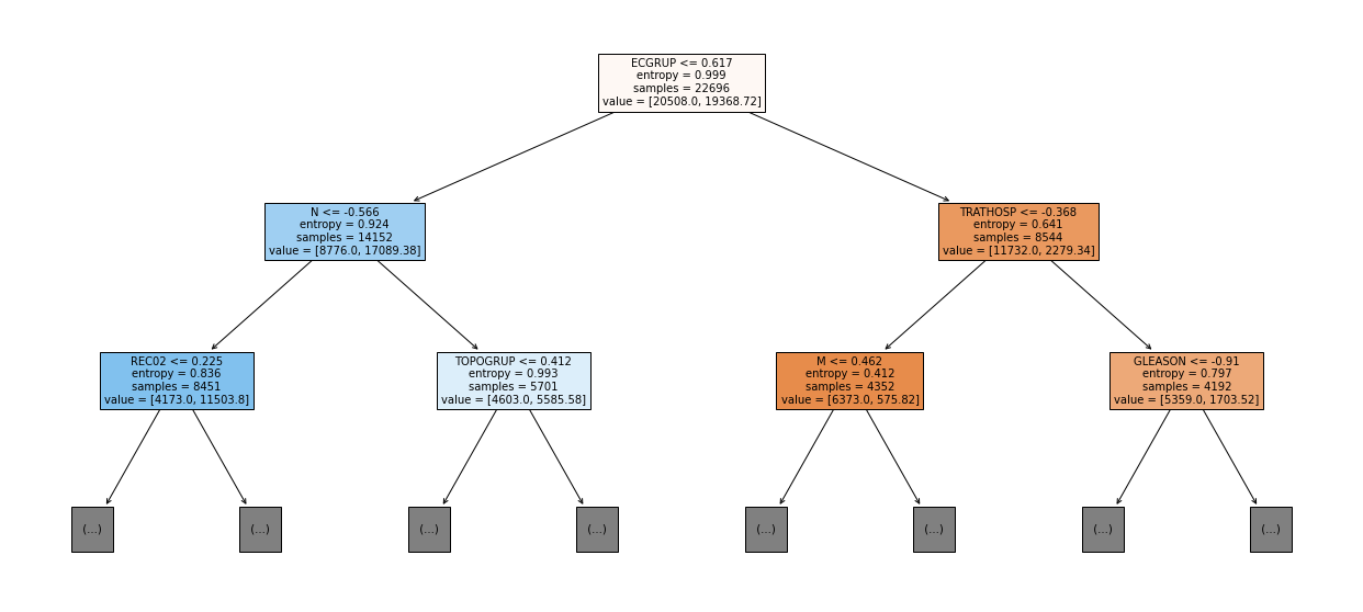 _images/Label_-_vivo_ano3_247_0.png