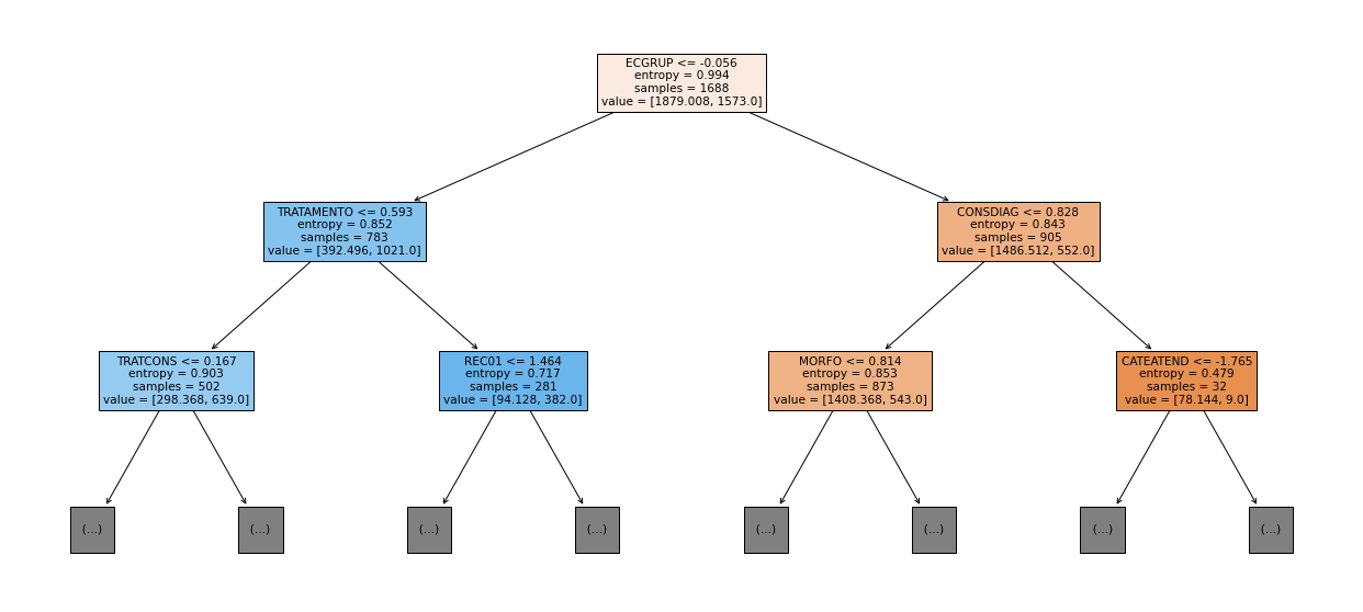_images/Label_-_vivo_ano3_257_0.png