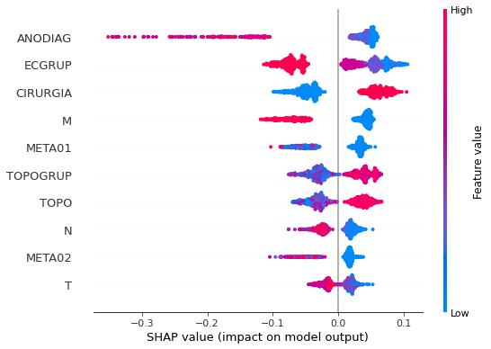 _images/Label_-_vivo_ano3_297_0.png