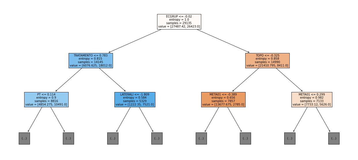 _images/Label_-_vivo_ano3_467_0.png