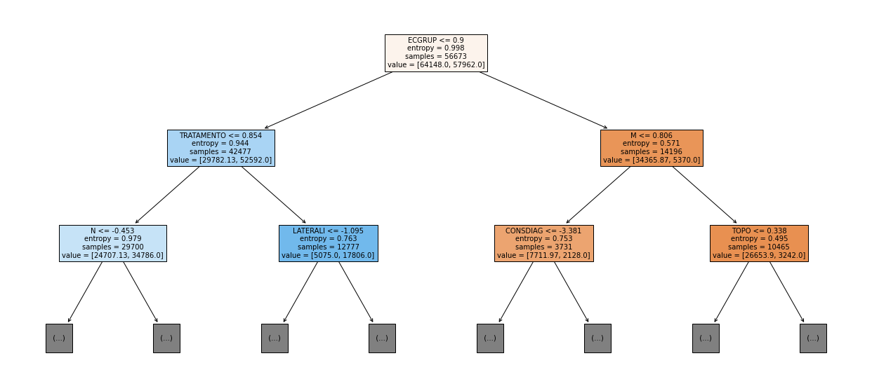 _images/Label_-_vivo_ano3_494_0.png