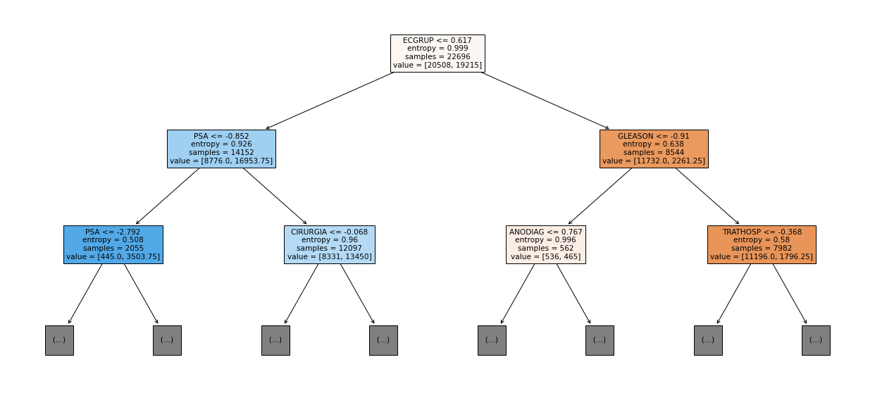 _images/Label_-_vivo_ano3_503_0.png