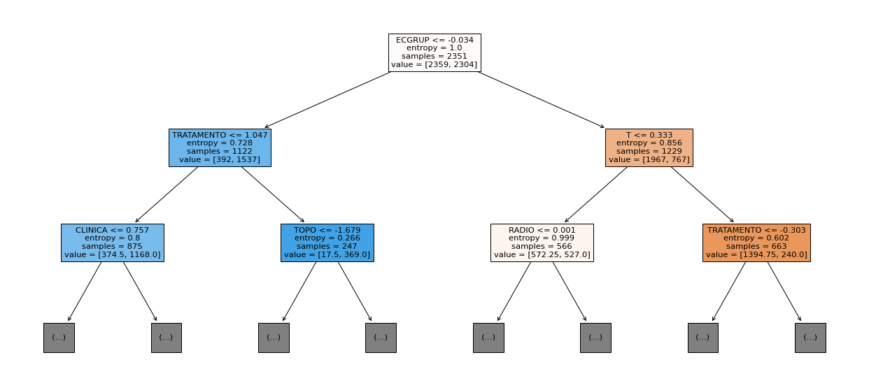 _images/Label_-_vivo_ano3_522_0.png