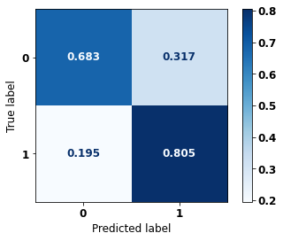 _images/Label_-_vivo_ano3_664_0.png