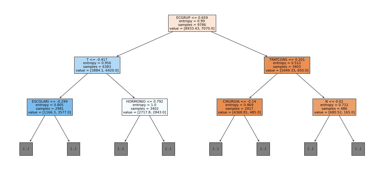 _images/Label_-_vivo_ano5_111_0.png