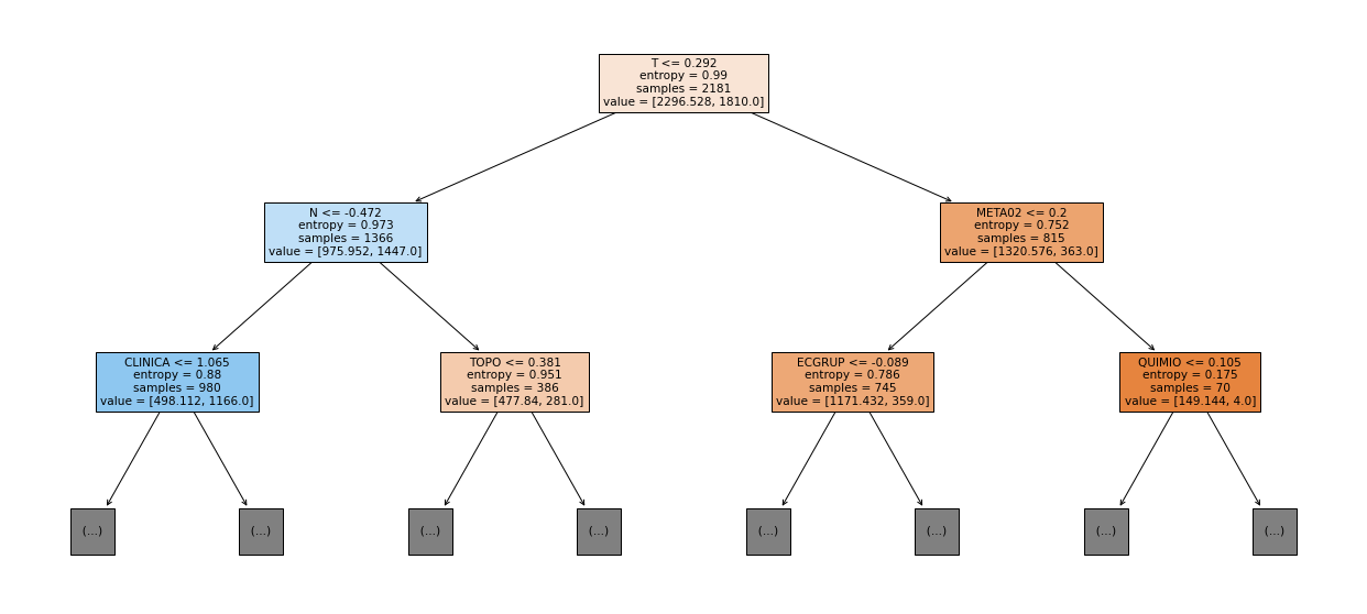_images/Label_-_vivo_ano5_255_0.png