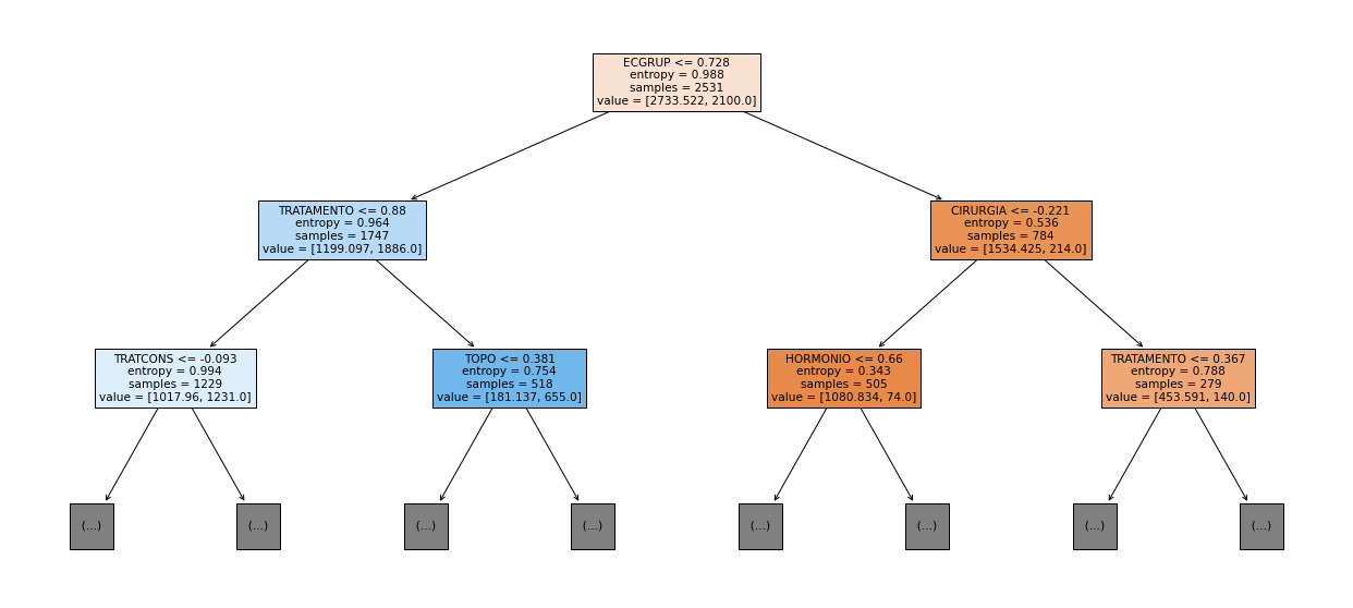 _images/Label_-_vivo_ano5_264_0.png