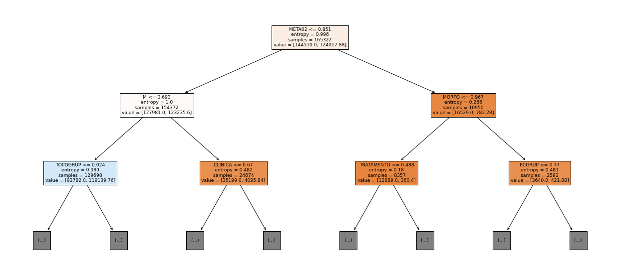 _images/Label_-_vivo_ano5_32_0.png