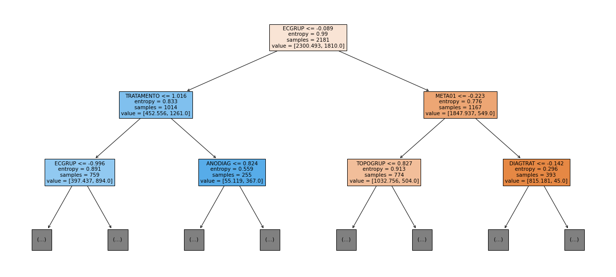 _images/Label_-_vivo_ano5_455_0.png