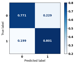 _images/Label_-_vivo_ano5_551_0.png