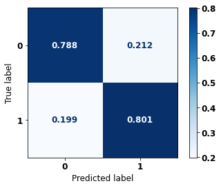 _images/Label_-_vivo_ano5_558_0.png