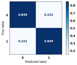 _images/Label_-_vivo_ano5_84_0.png